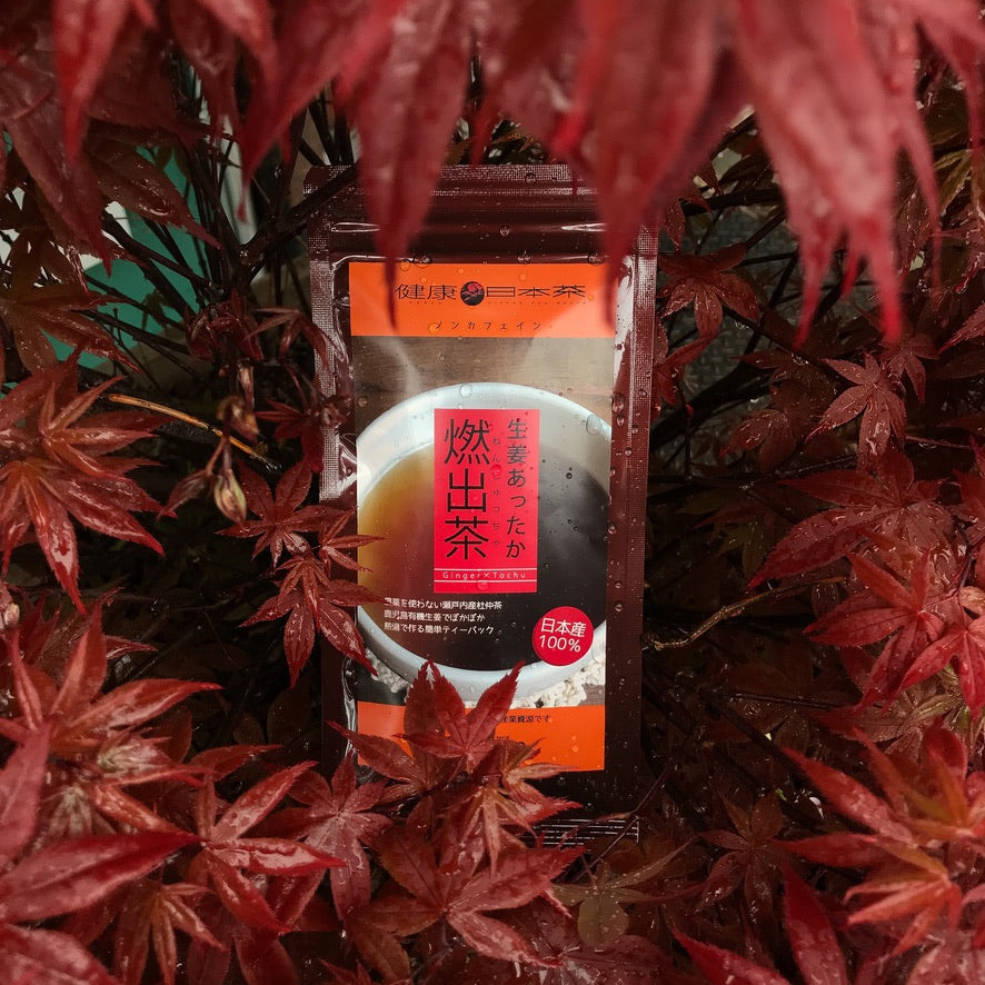 Tochucha with Ginger 杜仲茶 生姜入