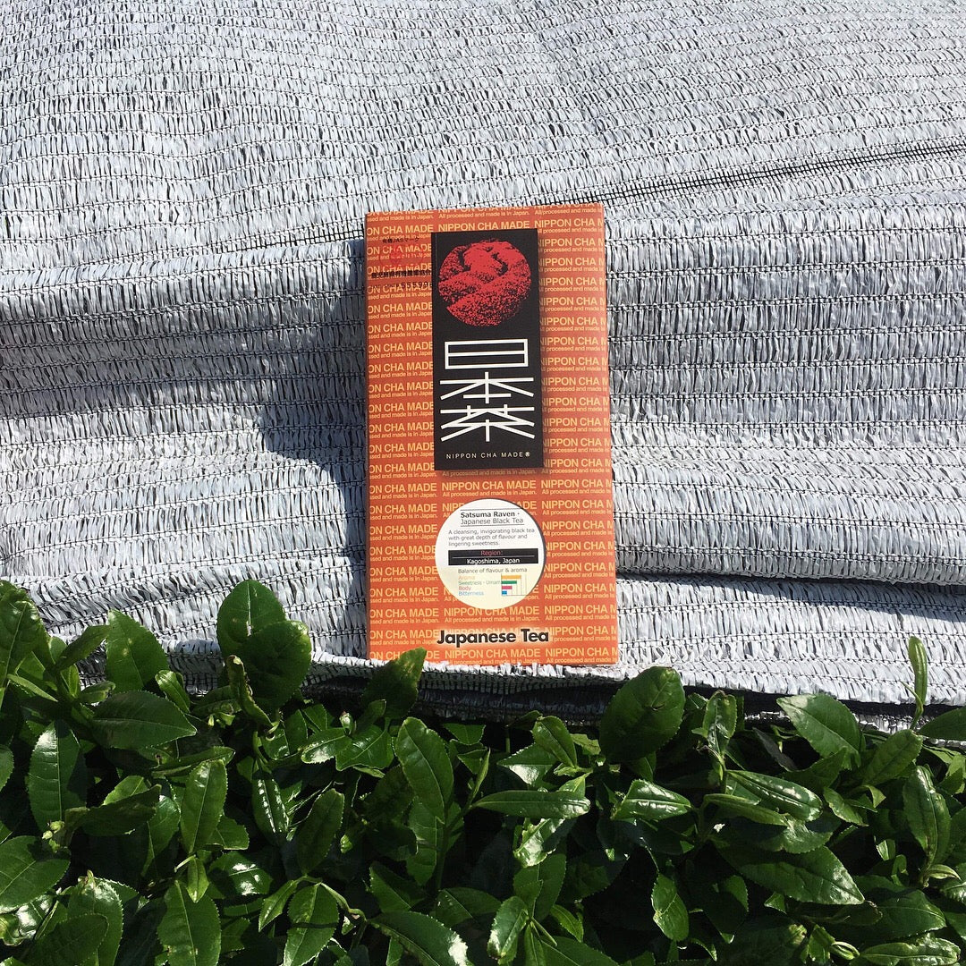 Satsuma Koucha 薩摩 紅茶