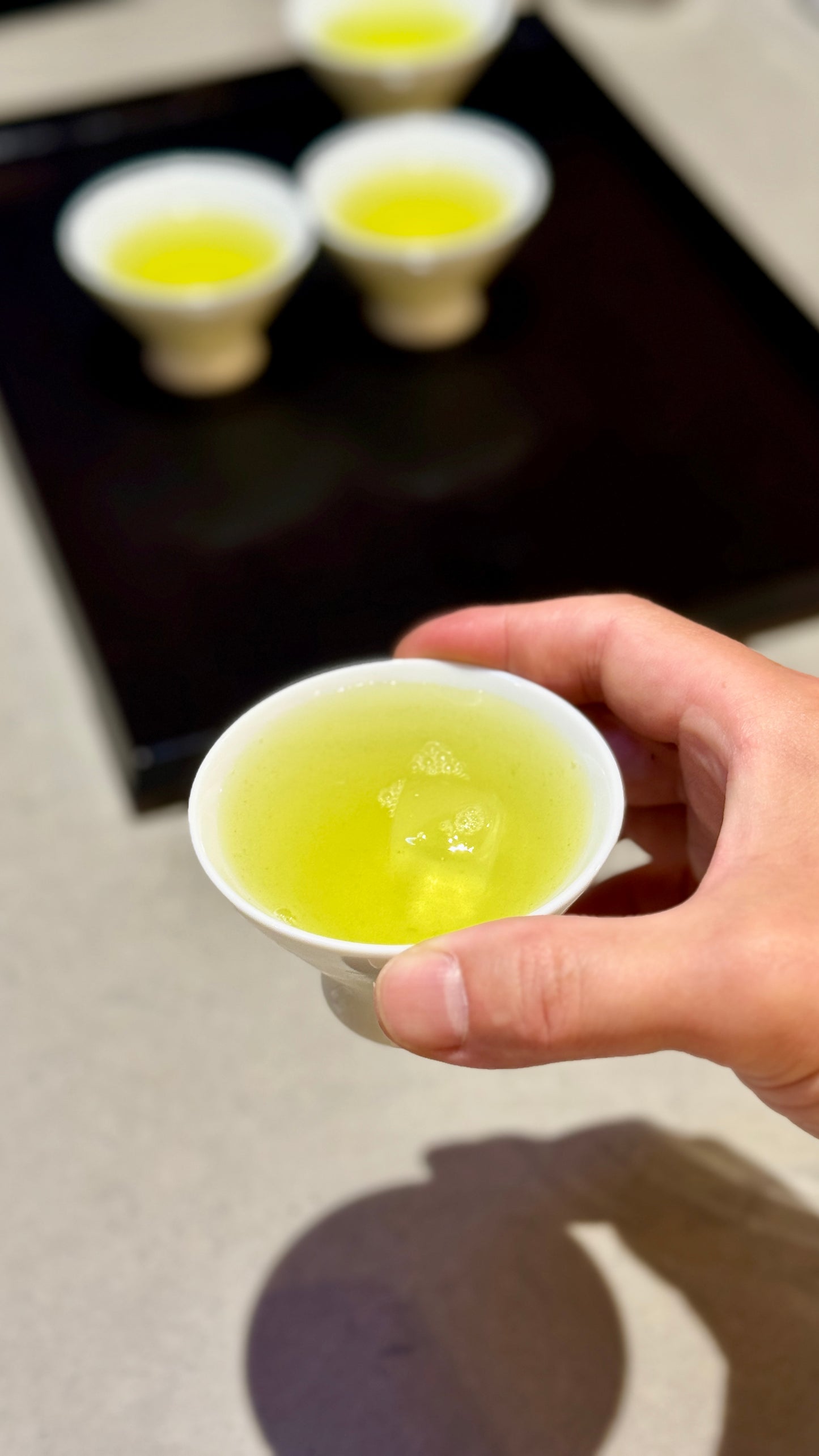 2026 First Harvest Cold-Brew Sencha 冷煎茶 | 100g