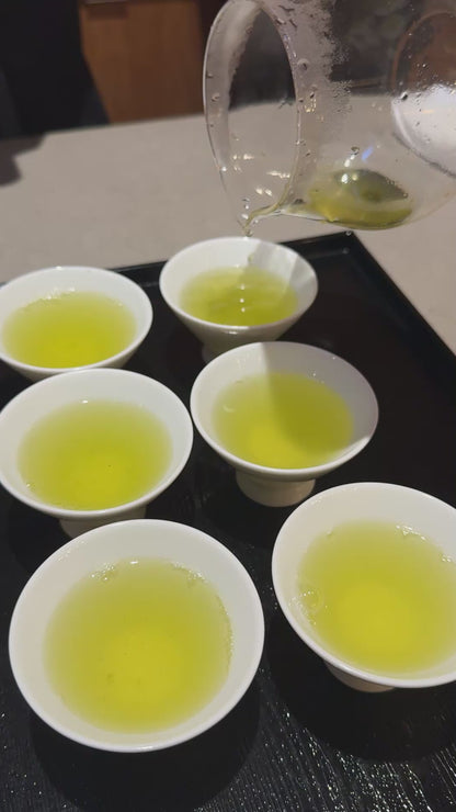 2026 First Harvest Cold-Brew Sencha 冷煎茶 | 100g
